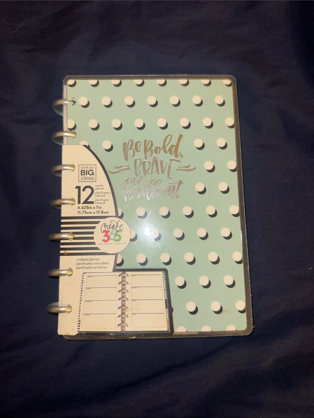 Create 365 Happy Planner (Undated, 12-Month) Polka Dot